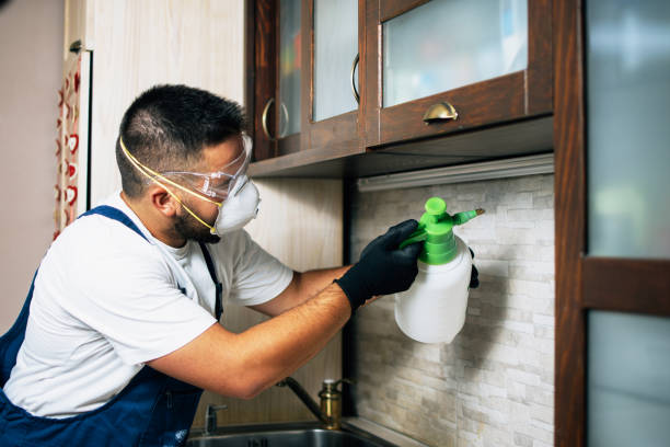 Best Mosquito Control Services  in Auburn, MI