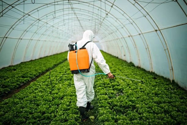 Best Pest Inspection Near Me  in Auburn, MI