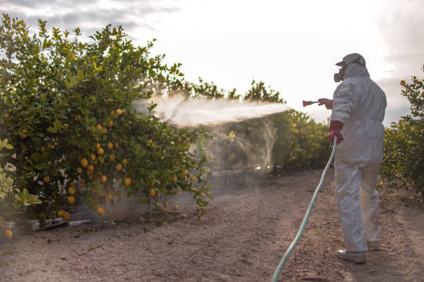 Best Cockroach Control Services  in Auburn, MI
