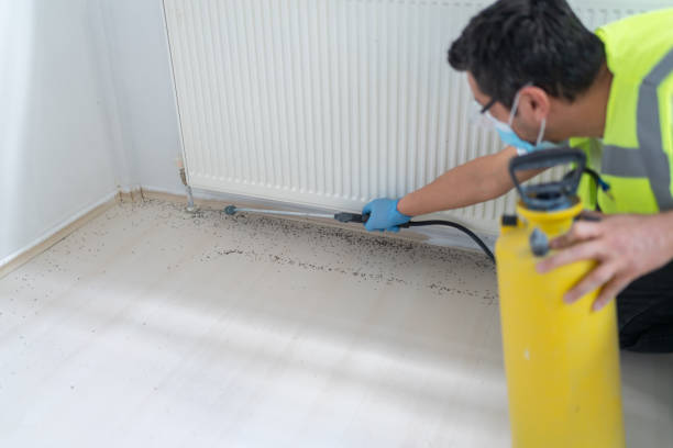 Pest Prevention Services in Auburn, MI
