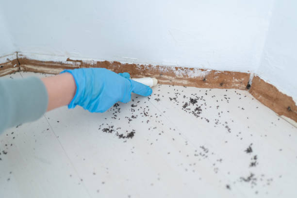 Auburn, MI Pest Control Company