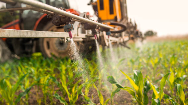 Best Pest Removal Services  in Auburn, MI